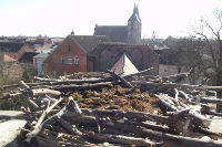 Foto des neues Nests mit Granseer St. Marienkirche im Hintergrund
